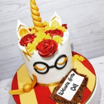 harry potter cake, harry potter unicorn, welcome home cake